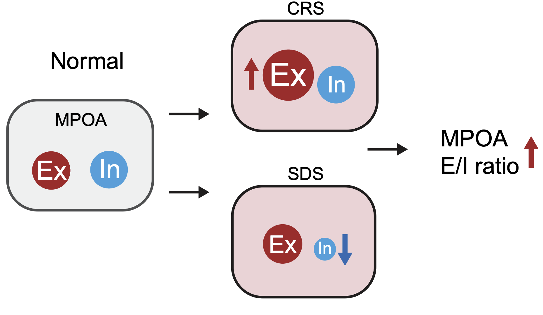 Tao Zhang 2024 Nature Communications